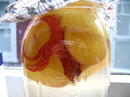 Apple Nectarine Vinegar
